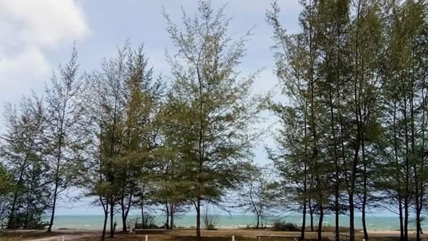Paka Tamim Seaview Hotel Zewnętrze zdjęcie